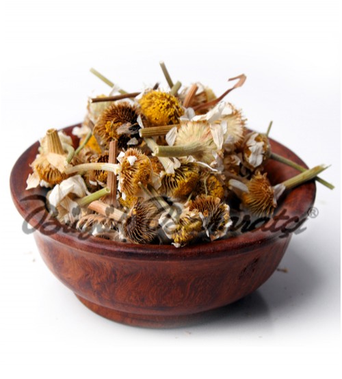 Papatya 20 gr